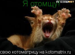 Я отомщу!... Котоматрица: Я отомщу!