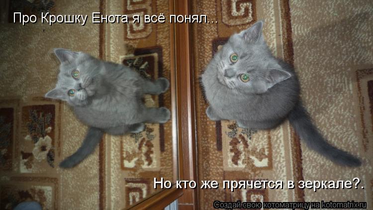 Про Крошку Енота я всё понял... Но кто же прячется в зеркале?.... Котоматрица: Про Крошку Енота я всё понял... Но кто же прячется в зеркале?.
