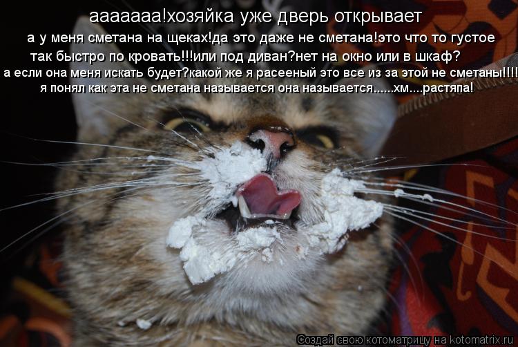 ааааааа!хозяйка уже дверь открывает а у меня сметана на щеках!да это даже не сметана!это что то густо... Котоматрица: ааааааа!хозяйка уже дверь открывает а у меня сметана на щеках!да это даже не сметана!это что то густое так быстро по кровать!!!или под диван?н