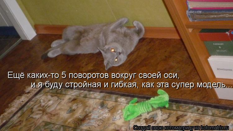 Ещё каких-то 5 поворотов вокруг своей оси, и я буду стройная и гибкая, как эта супер модель...... Котоматрица: Ещё каких-то 5 поворотов вокруг своей оси, и я буду стройная и гибкая, как эта супер модель...