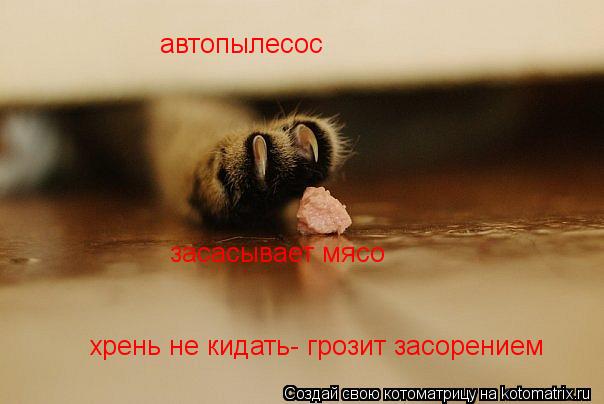 автопылесос засасывает мясо хрень не кидать- грозит засорением хрень не кидать- грозит засорением... Котоматрица: автопылесос засасывает мясо хрень не кидать- грозит засорением хрень не кидать- грозит засорением