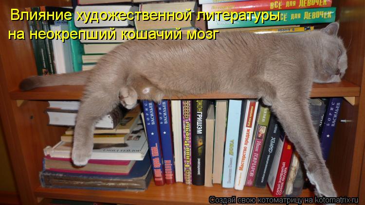 Влияние художественной литературы на неокрепший кошачий мозг... Котоматрица: Влияние художественной литературы на неокрепший кошачий мозг