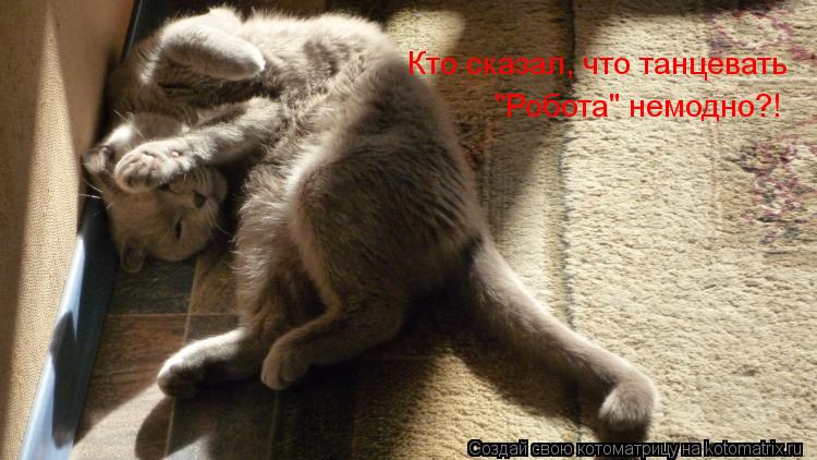 Кто сказал, что танцевать "Робота" немодно?!... Котоматрица: Кто сказал, что танцевать "Робота" немодно?!