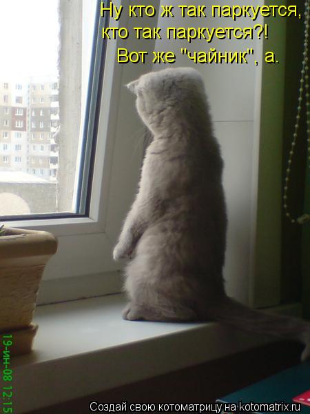 Вот же "чайник", а. кто так паркуется?! Ну кто ж так паркуется,... Котоматрица: Вот же "чайник", а. кто так паркуется?! Ну кто ж так паркуется,