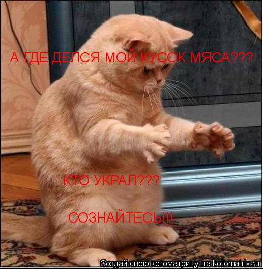 А ГДЕ ДЕЛСЯ МОЙ КУСОК МЯСА??? СОЗНАЙТЕСЬ!!! КТО УКРАЛ???... Котоматрица: А ГДЕ ДЕЛСЯ МОЙ КУСОК МЯСА??? СОЗНАЙТЕСЬ!!! КТО УКРАЛ???
