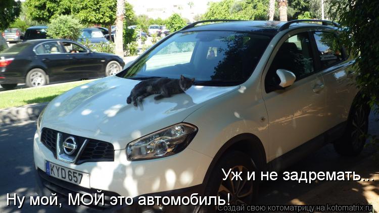 Ну мой, МОЙ это автомобиль! Уж и не задремать...... Котоматрица: Ну мой, МОЙ это автомобиль! Уж и не задремать...