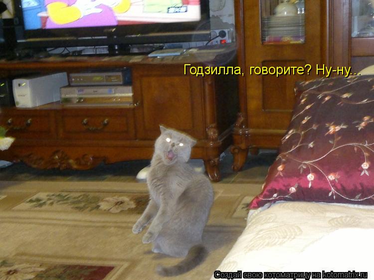Годзилла, говорите? Ну-ну...... Котоматрица: Годзилла, говорите? Ну-ну...