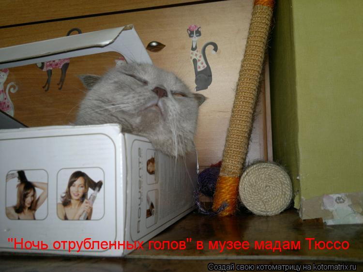 "Ночь отрубленных голов" в музее мадам Тюссо... Котоматрица: "Ночь отрубленных голов" в музее мадам Тюссо
