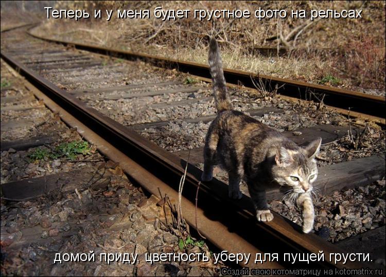 Теперь и у меня будет грустное фото на рельсах домой приду, цветность уберу для пущей грусти.... Котоматрица: Теперь и у меня будет грустное фото на рельсах домой приду, цветность уберу для пущей грусти.