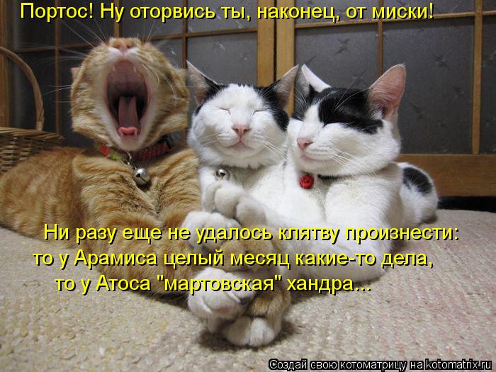 Портос! Ну оторвись ты, наконец, от миски! Ни разу еще не удалось клятву произнести: то у Арамиса цел... Котоматрица: Портос! Ну оторвись ты, наконец, от миски! Ни разу еще не удалось клятву произнести: то у Арамиса целый месяц какие-то дела, то у Атоса "мартов