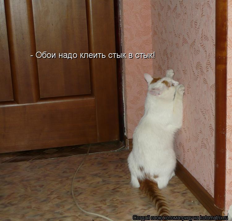- Обои надо клеить стык в стык!... Котоматрица: - Обои надо клеить стык в стык!