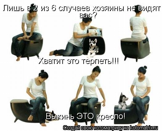 Лишь в 2 из 6 случаев хозяины не видят вас? Хватит это терпеть!!! Выкинь ЭТО кресло!... Котоматрица: Лишь в 2 из 6 случаев хозяины не видят вас? Хватит это терпеть!!! Выкинь ЭТО кресло!