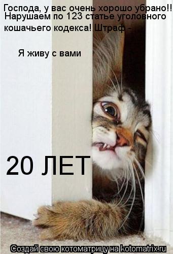 Господа, у вас очень хорошо убрано!! Нарушаем по 123 статье уголовного кошачьего кодекса! Штраф - Я ... Котоматрица: Господа, у вас очень хорошо убрано!! Нарушаем по 123 статье уголовного кошачьего кодекса! Штраф - Я живу с вами 20 ЛЕТ