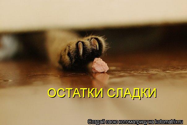 ОСТАТКИ СЛАДКИ... Котоматрица: ОСТАТКИ СЛАДКИ