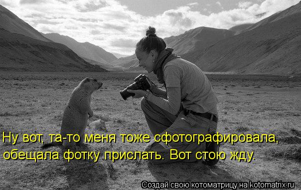Ну вот, та-то меня тоже сфотографировала, обещала фотку прислать. Вот стою жду.... Котоматрица: Ну вот, та-то меня тоже сфотографировала, обещала фотку прислать. Вот стою жду.
