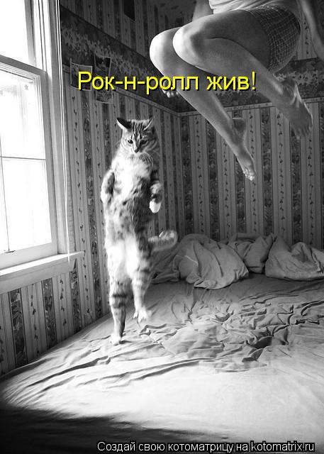 Рок-н-ролл жив!... Котоматрица: Рок-н-ролл жив!