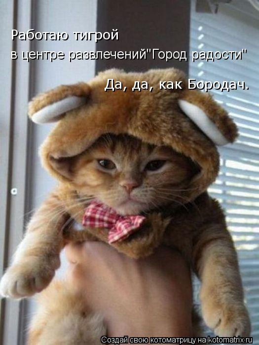 в центре развлечений"Город радости" Работаю тигрой Да, да, как Бородач.... Котоматрица: в центре развлечений"Город радости" Работаю тигрой Да, да, как Бородач.