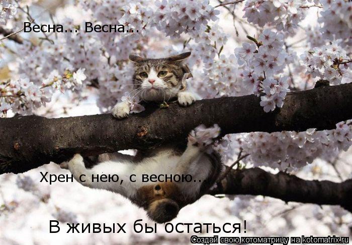 Весна... Весна... Хрен с нею, с весною... В живых бы остаться!... Котоматрица: Весна... Весна... Хрен с нею, с весною... В живых бы остаться!