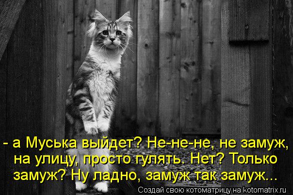 - а Муська выйдет? Не-не-не, не замуж, на улицу, просто гулять. Нет? Только замуж? Ну ладно, замуж ... Котоматрица: - а Муська выйдет? Не-не-не, не замуж, на улицу, просто гулять. Нет? Только замуж? Ну ладно, замуж так замуж...