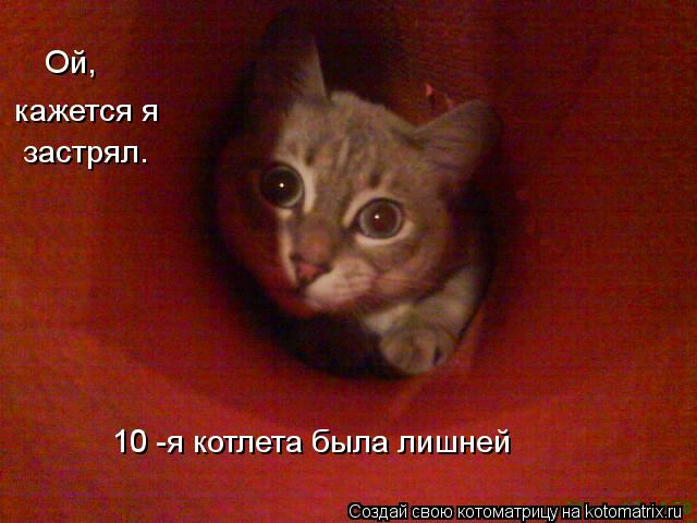 Котоматрица: Ой Ой, кажется я  застрял. 10 -я котлета была лишней