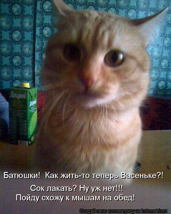 Котоматрица: Батюшки!  Как жить-то теперь Васеньке?! Сок лакать? Ну уж нет!!! Пойду схожу к мышам на обед!