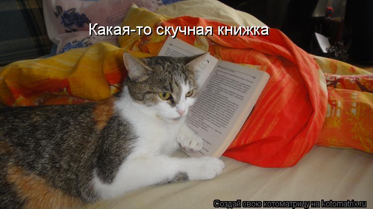 Какая-то скучная книжка... Котоматрица: Какая-то скучная книжка