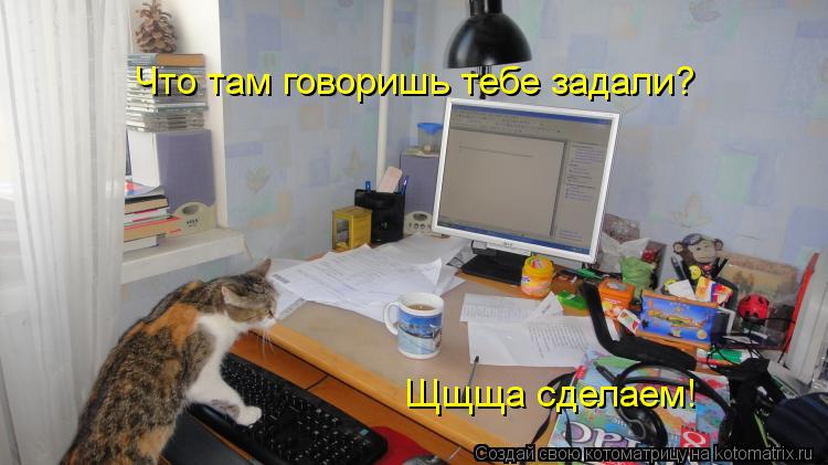 Что там говоришь тебе задали? Щщща сделаем!... Котоматрица: Что там говоришь тебе задали? Щщща сделаем!