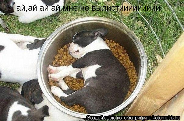 ай,ай ай ай мне не вылистиииииииии... Котоматрица: ай,ай ай ай мне не вылистиииииииии