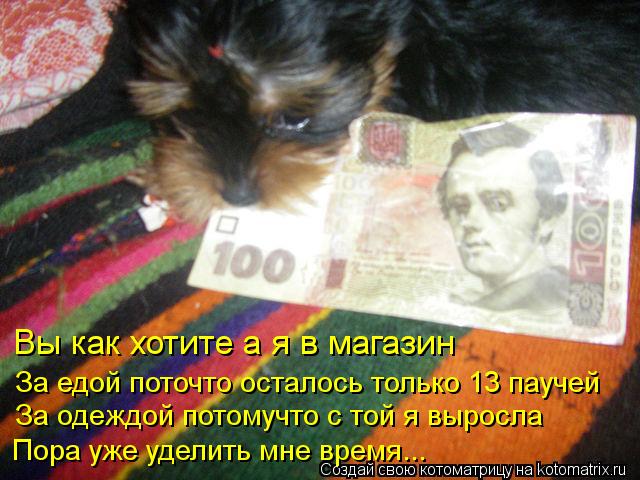 Котоматрица: Вы как хотите а я в магазин За едой поточто осталось только 13 паучей За одеждой потомучто с той я выросла Пора уже уделить мне время...