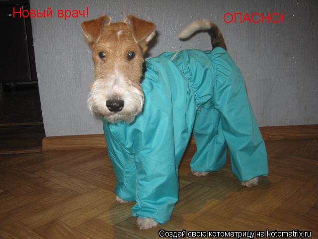 Котоматрица: Новый врач! ОПАСНО!