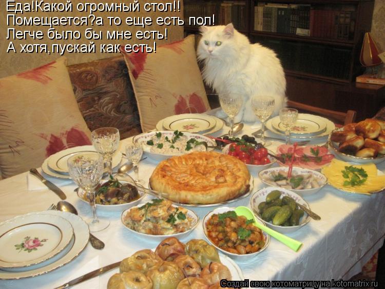 Котоматрица: Помещается?а то еще есть пол! Еда!Какой огромный стол!! Легче было бы мне есть! А хотя,пускай как есть!