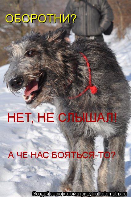 Котоматрица: ОБОРОТНИ? НЕТ, НЕ СЛЫШАЛ! А ЧЕ НАС БОЯТЬСЯ-ТО?