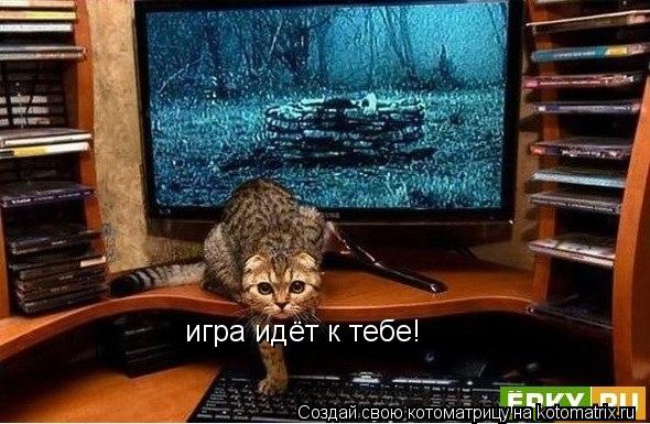 Котоматрица: игра идёт к тебе!