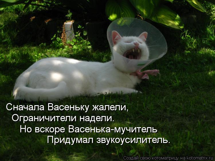Сначала Васеньку жалели, Ограничители надели. Но вскоре Васенька-мучитель Придумал звукоусилитель.... Котоматрица: Сначала Васеньку жалели, Ограничители надели. Но вскоре Васенька-мучитель Придумал звукоусилитель.