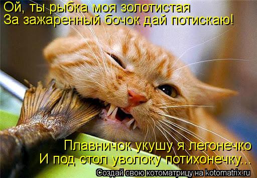 Ой, ты рыбка моя золотистая За зажаренный бочок дай потискаю! Плавничок укушу я легонечко И под стол ... Котоматрица: Ой, ты рыбка моя золотистая За зажаренный бочок дай потискаю! Плавничок укушу я легонечко И под стол уволоку потихонечку...
