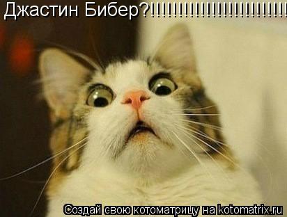 Джастин Бибер?!!!!!!!!!!!!!!!!!!!!!!!!!... Котоматрица: Джастин Бибер?!!!!!!!!!!!!!!!!!!!!!!!!!
