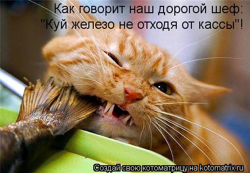 Как говорит наш дорогой шеф: "Кyй железо не отходя от кассы"!... Котоматрица: Как говорит наш дорогой шеф: "Кyй железо не отходя от кассы"!