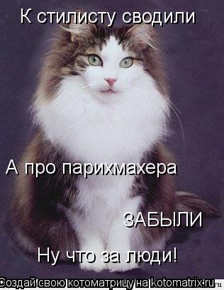 Ну что за люди! К стилисту сводили А про парихмахера ЗАБЫЛИ... Котоматрица: Ну что за люди! К стилисту сводили А про парихмахера ЗАБЫЛИ