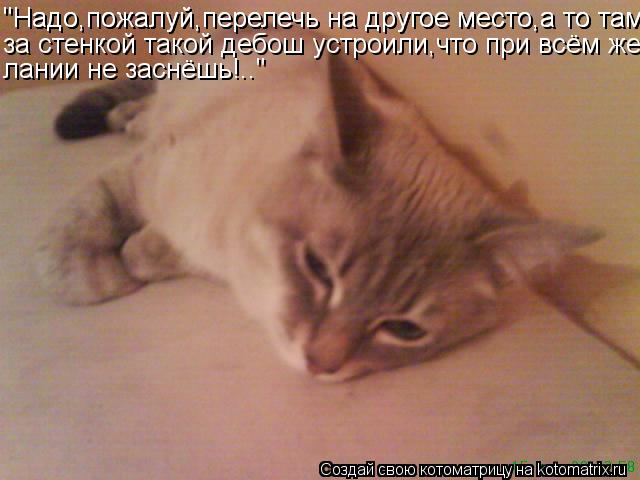 "Надо,пожалуй,перелечь на другое место,а то там "Надо,пожалуй,перелечь на другое место,а то там за ст... Котоматрица: "Надо,пожалуй,перелечь на другое место,а то там "Надо,пожалуй,перелечь на другое место,а то там за стенкой такой дебош устроили,что при всём