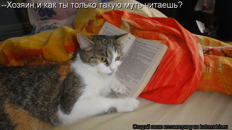 --Хозяин,и как ты только такую муть читаешь?... Котоматрица: --Хозяин,и как ты только такую муть читаешь?