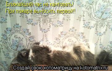 Ближайший час не кантовать! При пожаре выносить первой!!... Котоматрица: Ближайший час не кантовать! При пожаре выносить первой!!