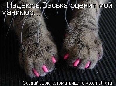 --Надеюсь,Васька оценит мой маникюр...... Котоматрица: --Надеюсь,Васька оценит мой маникюр...