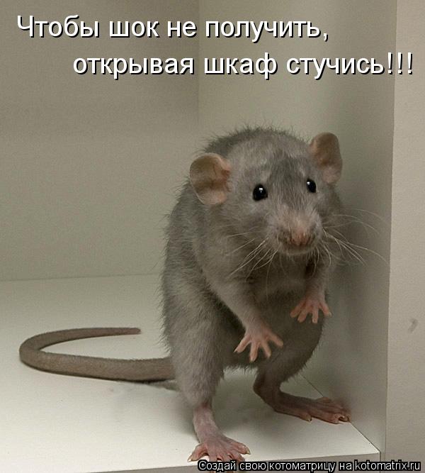 Чтобы шок не получить, открывая шкаф стучись!!!... Котоматрица: Чтобы шок не получить, открывая шкаф стучись!!!