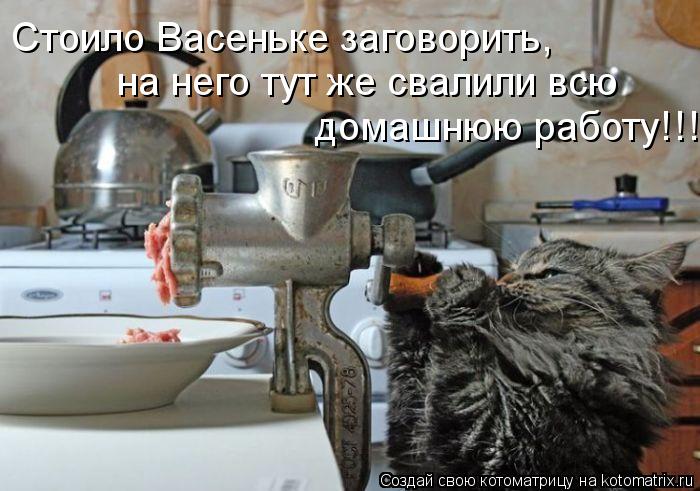 Стоило Васеньке заговорить, на него тут же свалили всю домашнюю работу!!!... Котоматрица: Стоило Васеньке заговорить, на него тут же свалили всю домашнюю работу!!!