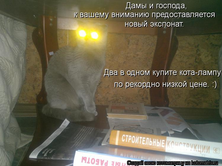 Дамы и господа, к вашему вниманию предоставляется новый экспонат. Два в одном купите кота-лампу ... Котоматрица: Дамы и господа, к вашему вниманию предоставляется новый экспонат. Два в одном купите кота-лампу по рекордно низкой цене. :)