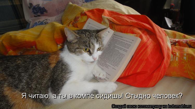 Я читаю, а ты в компе сидишь! Стыдно человек?... Котоматрица: Я читаю, а ты в компе сидишь! Стыдно человек?