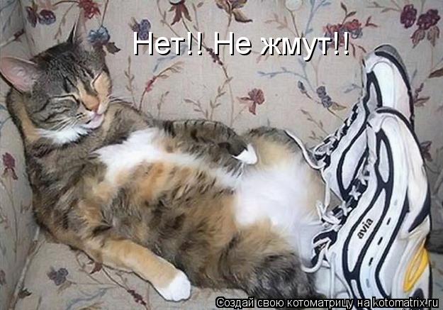 Котоматрица: Нет!! Не жмут!!