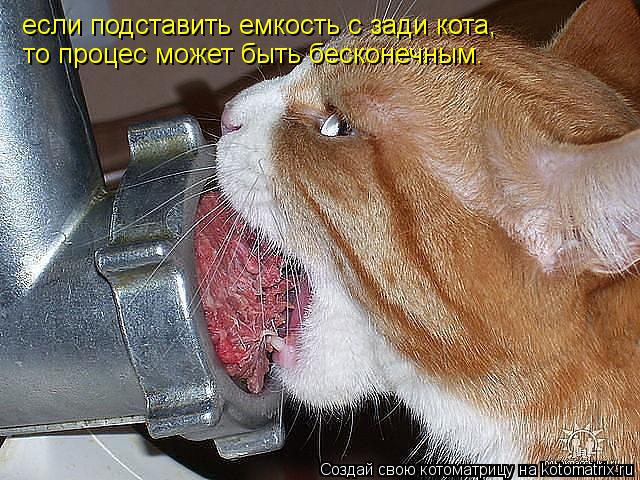 если подставить емкость с зади кота, то процес может быть бесконечным.... Котоматрица: если подставить емкость с зади кота, то процес может быть бесконечным.