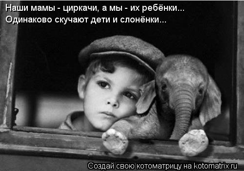 Котоматрица: Наши мамы - циркачи, а мы - их ребёнки... Одинаково скучают дети и слонёнки...