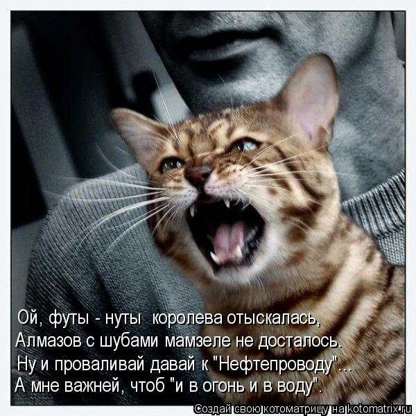 Ой, футы - нуты королева отыскалась, Алмазов с шубами мамзеле не досталось. Ну и проваливай давай к ... Котоматрица: Ой, футы - нуты королева отыскалась, Алмазов с шубами мамзеле не досталось. Ну и проваливай давай к "Нефтепроводу"... А мне важней, чтоб "и в ог
